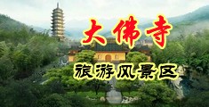 有大鸡巴的我看的黄色网站中国浙江-新昌大佛寺旅游风景区